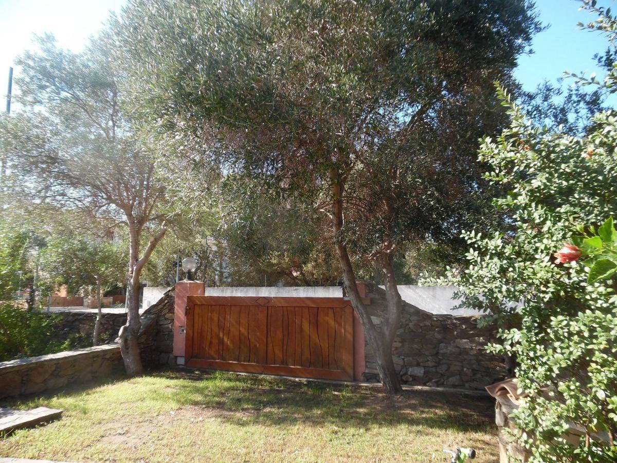 Villa Maestrale Όλμπια Εξωτερικό φωτογραφία
